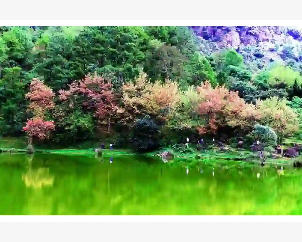 养阴清热熄风化痰，中医养生之道